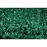 Spandex Sequin Fabric