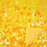 Spandex Sequin Fabric