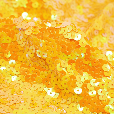 Spandex Sequin Fabric