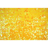 Halo Spandex Sequin Poly Spandex Fabric - Embroidered Sequin, 48" Width, 4-Way Stretch (1 Yard)