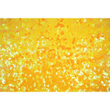 Spandex Sequin Fabric