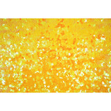 Halo Spandex Sequin Poly Spandex Fabric - Embroidered Sequin, 52" Width, 4-Way Stretch (1 Yard)