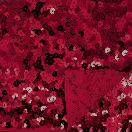 Spandex Sequin Fabric