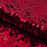 Spandex Sequin Fabric