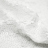 Spandex Sequin Fabric