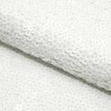 Spandex Sequin Fabric