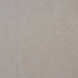 Beige Solid Velvet