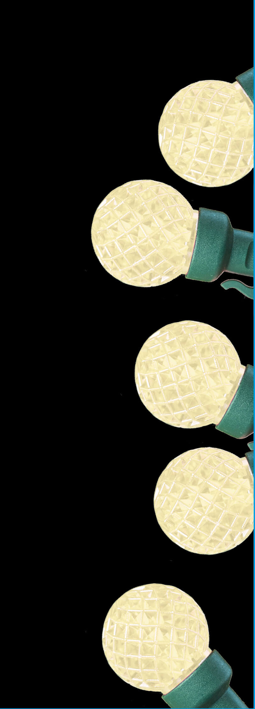 G30 Warm White 50 LED Light Set