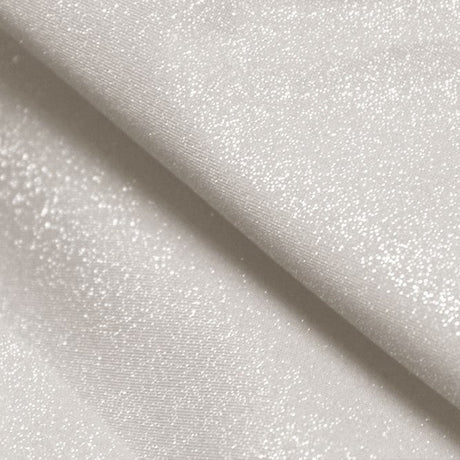Glitz Sparkle Nylon Spandex Fabric - Black/Silver, 56" Width (1 Yard)