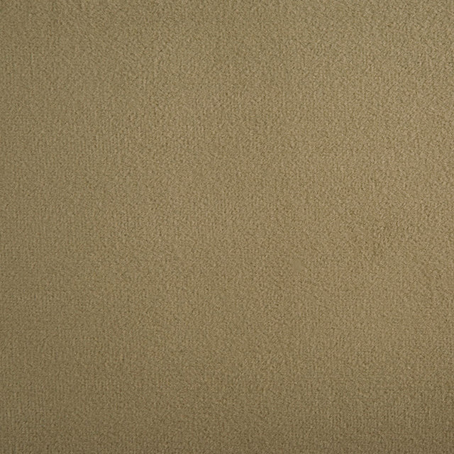 Dark Khaki Solid Velvet