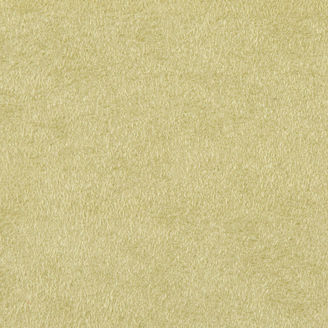 Vaneko Celery Solid Faux Ultrasuede