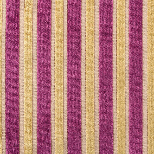 Lemon Fuchsia Stripes Velvet