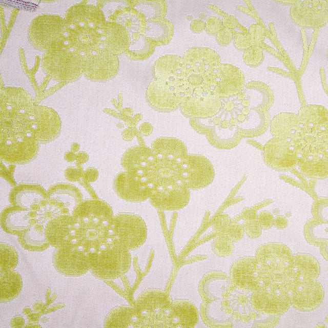 Citron/Beige Floral Chenille