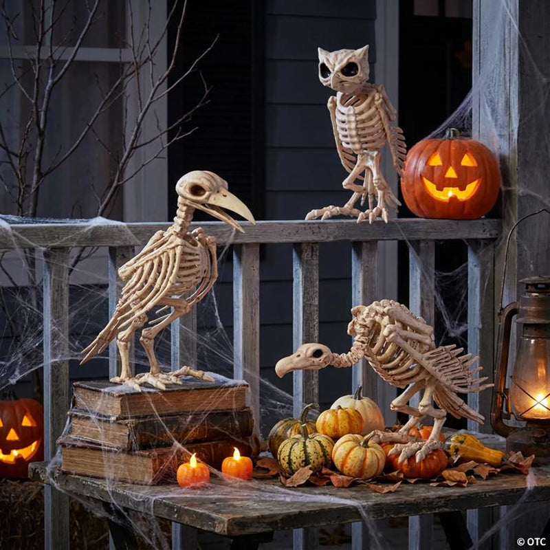 3-Piece Halloween Skeleton Bird Decorating Kit with Owl, Raven, and Vulture