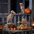 Halloween Bones & Beaks Skeleton Decorating Kit - 3 pc