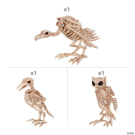 3-Piece Halloween Skeleton Bird Decorating Kit with Owl, Raven, and Vulture