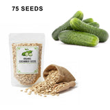SMR 58 Cucumber Seeds Non GMO Vigorous Standard Pickling Cucumber Country Creek Acres