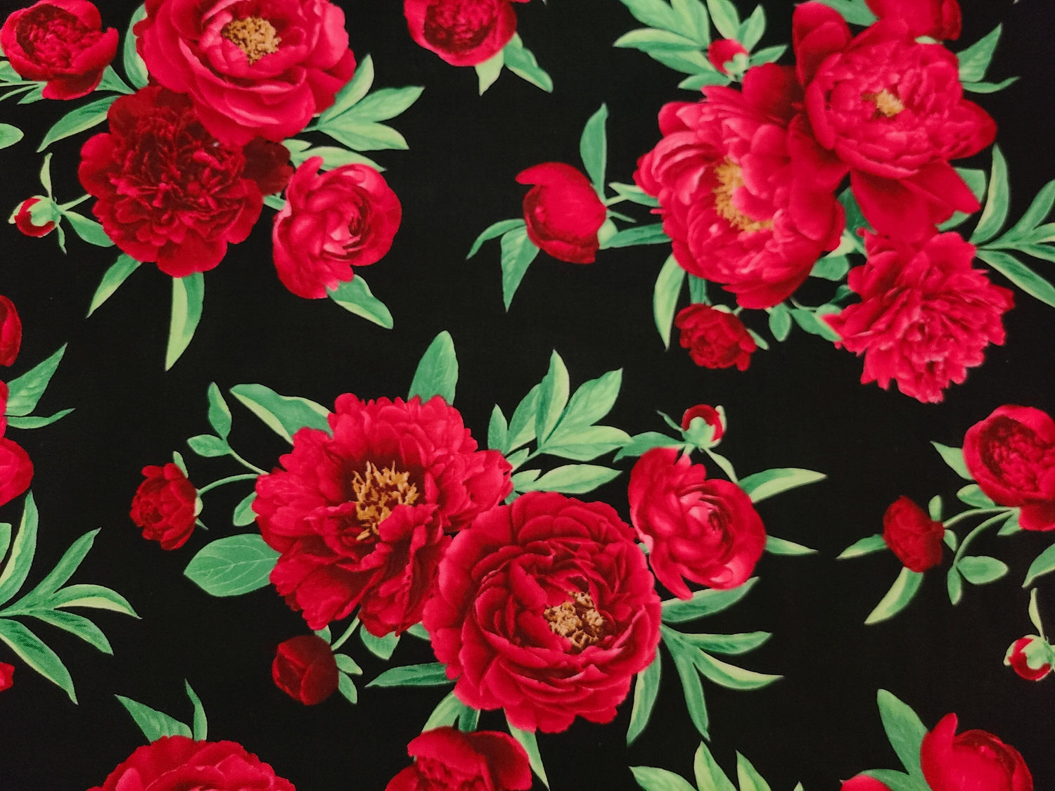 Quilting Cotton Red Peony on Black Tossed 100% Cotton Fabric