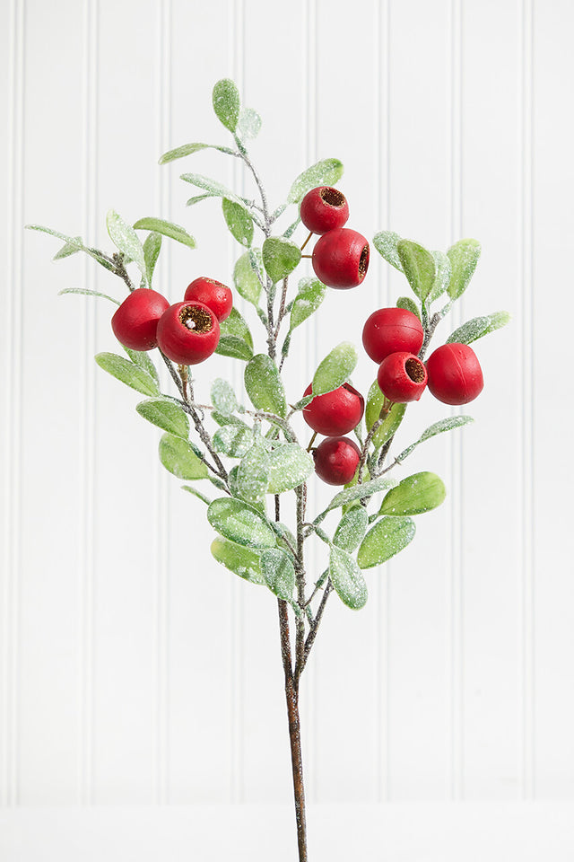 20” Pod Leaf Frosted Christmas Spray