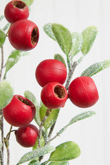 20” Pod Leaf Frosted Christmas Spray
