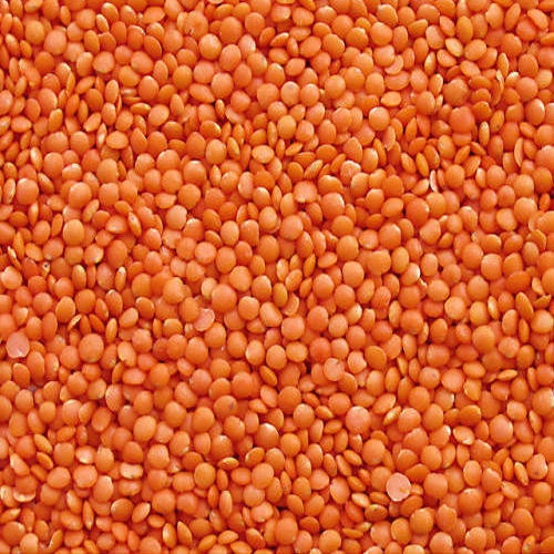 Hoque Masoor Dal 2lb