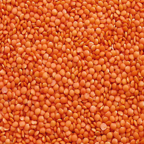Hoque Masoor Dal 2lb