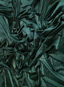 Shimmery Stretch Velvet