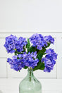 24" Purple Hydrangea Bush