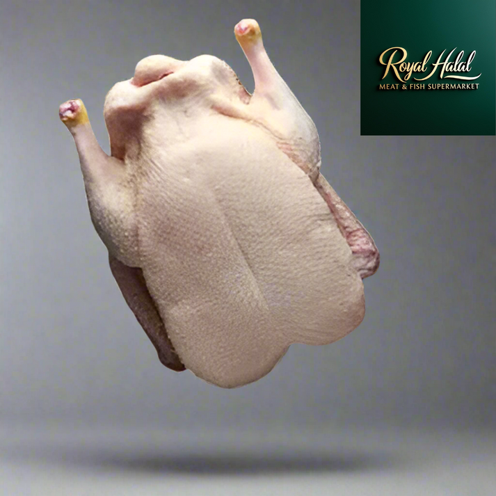 M-Frozen Duck Meat Regular Cut