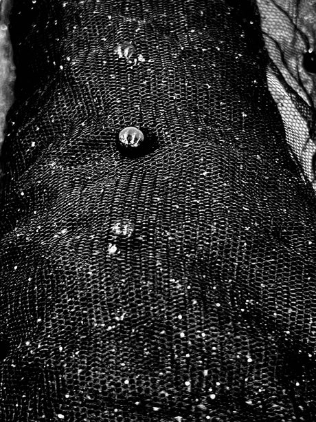 Glitter Mesh Fabric with Pearls