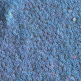Sequin Stretch Power Mesh Fabric
