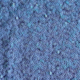 Sequin Stretch Power Mesh Fabric