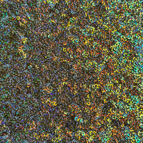 Sequin Stretch Power Mesh Fabric