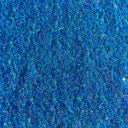 Sequin Stretch Power Mesh Fabric