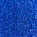 Sequin Stretch Power Mesh Fabric