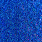 Sequin Stretch Power Mesh Fabric