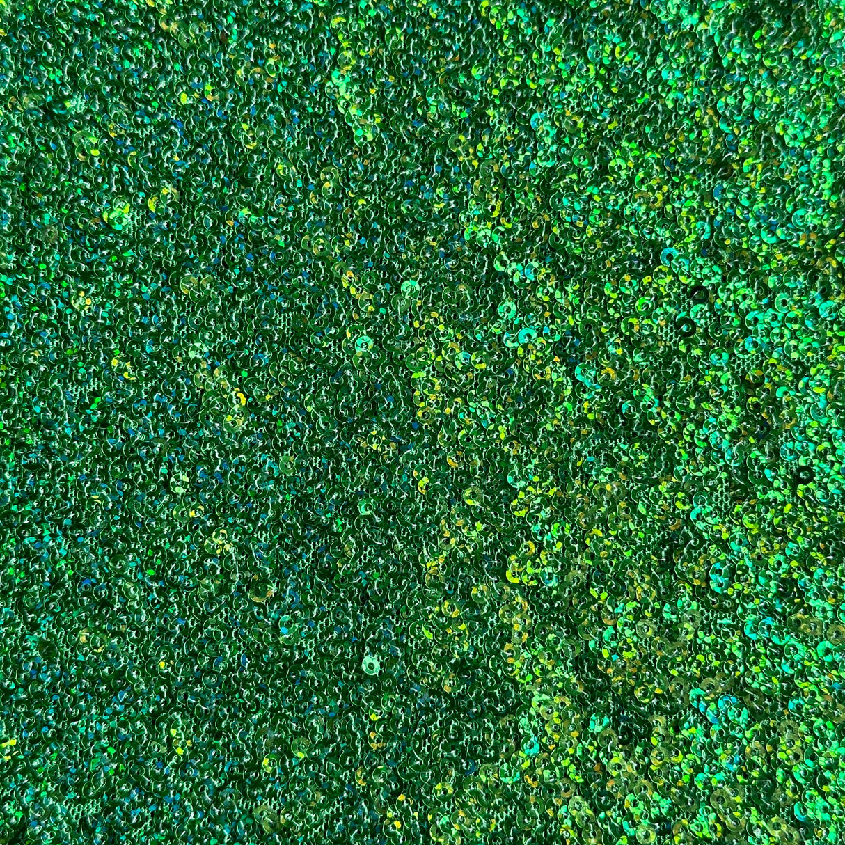 Sequin Stretch Power Mesh Fabric