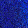 Sequin Stretch Power Mesh Fabric