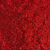 Sequin Stretch Power Mesh Fabric