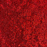 Sequin Stretch Power Mesh Fabric