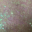 Sequin Stretch Power Mesh Fabric