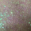 Sequin Stretch Power Mesh Fabric