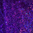 Sequin Stretch Power Mesh Fabric