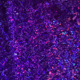Sequin Stretch Power Mesh Fabric