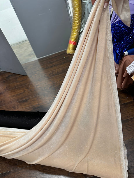 Glitter Stretch Velvet Champagne