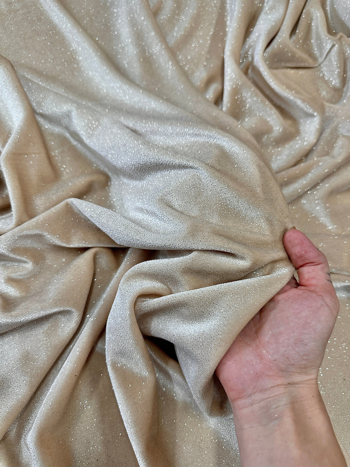 Glitter Stretch Velvet Champagne