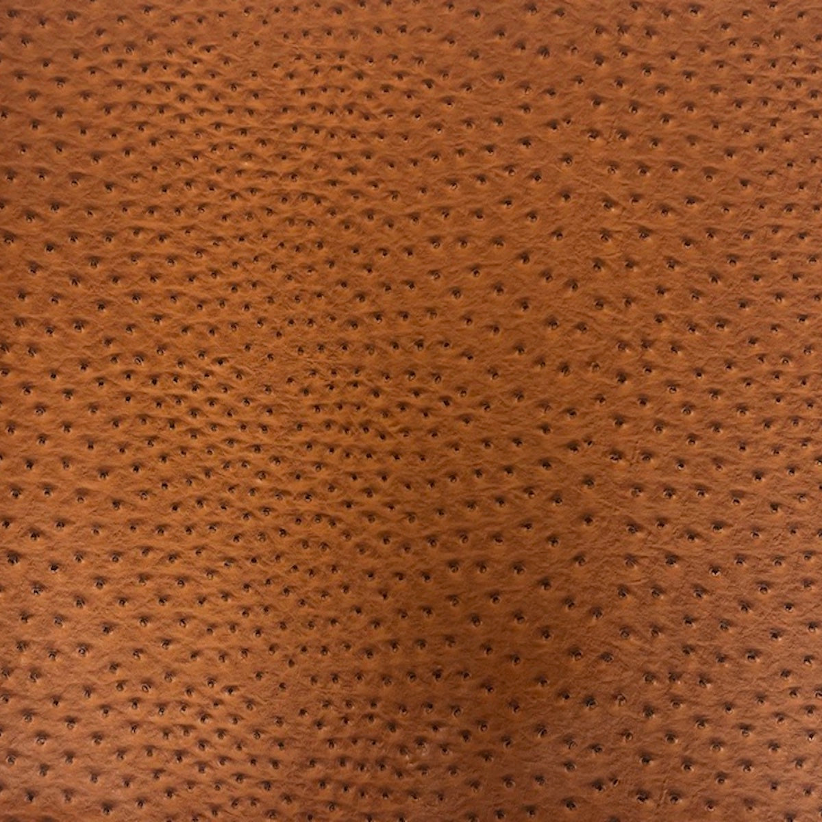 Saratoga Ostrich Faux Leather Vinyl Fabric - Ostrich Embossed Texture, 54" Width (1 Yard)