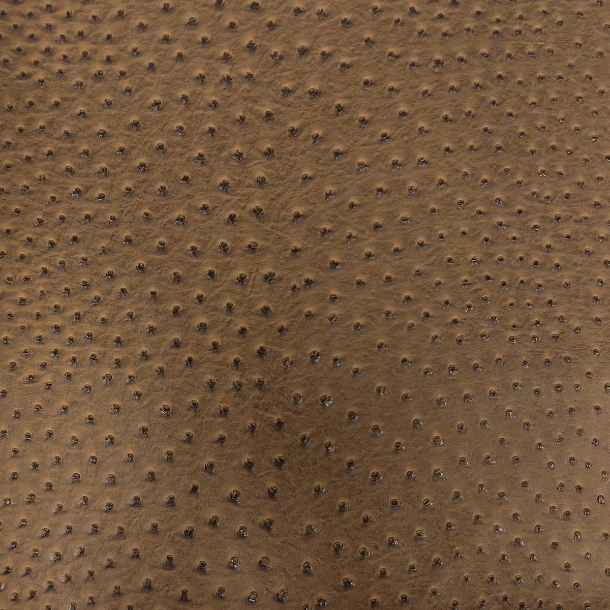 Saratoga Ostrich Faux Leather Vinyl Fabric - Ostrich Embossed Texture, 54" Width (1 Yard)