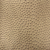 Saratoga Ostrich Faux Leather Vinyl Fabric - Ostrich Embossed Texture, 54" Width (1 Yard)