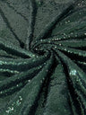 Stretch Sequin on Mesh Hunter Green
